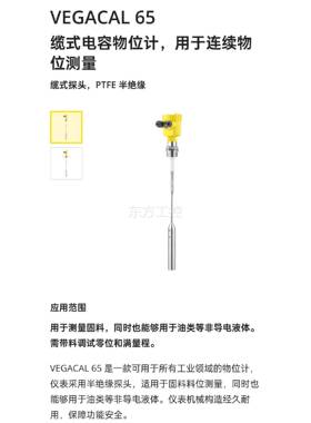 议价VEGACAL 65 缆式电容液位计，全新原装进口，实图拍摄