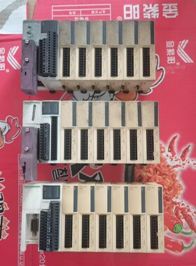 施耐德PLC  OTB1C0DM9LP+6个输出模块TM2A