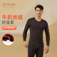 贴心男士 1278 打底衫 保暖内衣秋冬季 牛奶丝绒V领上衣舒适柔软修身