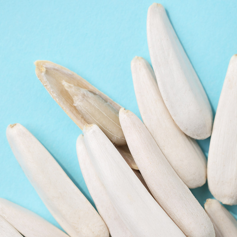 新疆特产马牙瓜子250克袋牙签瓜休闲零食全国包邮好吃不上火