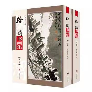 现货正版徐渭书画集全2册