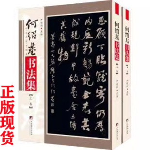 碑派书法传世名家书画集 中央编译出版 尹维新编 纸印 社楷书行书隶书行楷集字临摹字帖 16开本铜版 何绍基书法集全2册