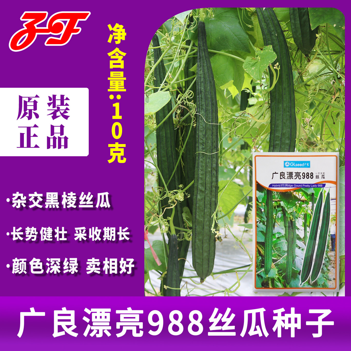 【正品种子】杂交八角丝瓜种籽泰国引进广良漂亮988黑棱丝瓜种子