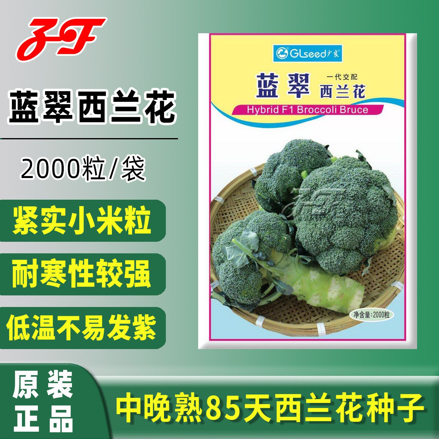 秋季85天花蕾粒小西兰花种子