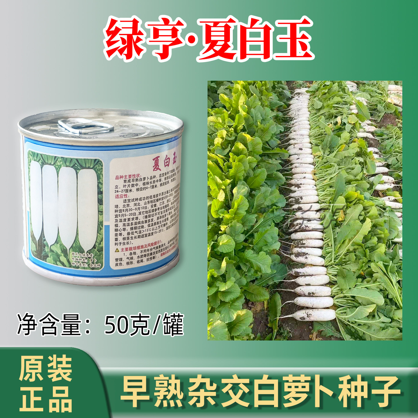 中农绿亨夏秋季白萝卜种子图片