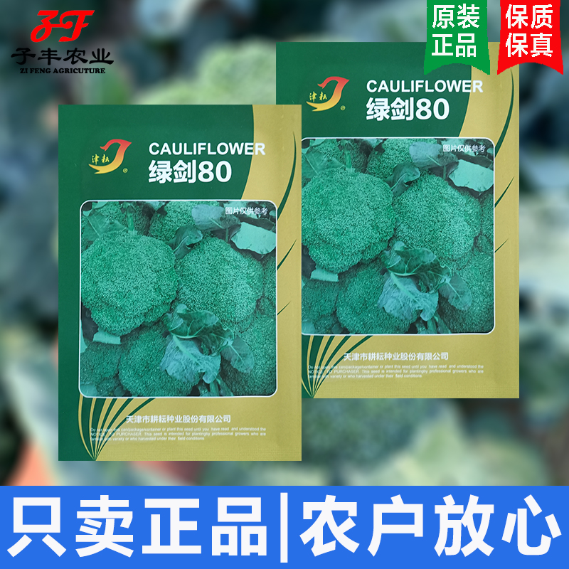 天津耕耘绿剑80天秋季中晚熟西兰花种子颜色绿花蕾粒小西蓝花菜籽 鲜花速递/花卉仿真/绿植园艺 家庭园艺种子 原图主图