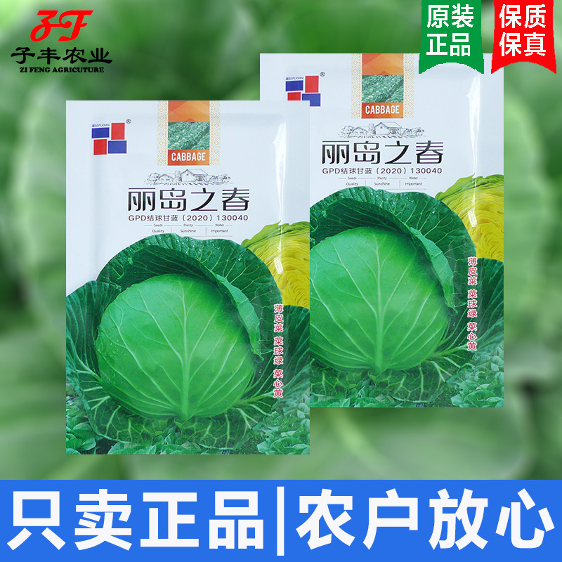 丽岛之春甘蓝种子春季秋季耐裂薄皮黄心包菜种籽水果型洋白菜种孑