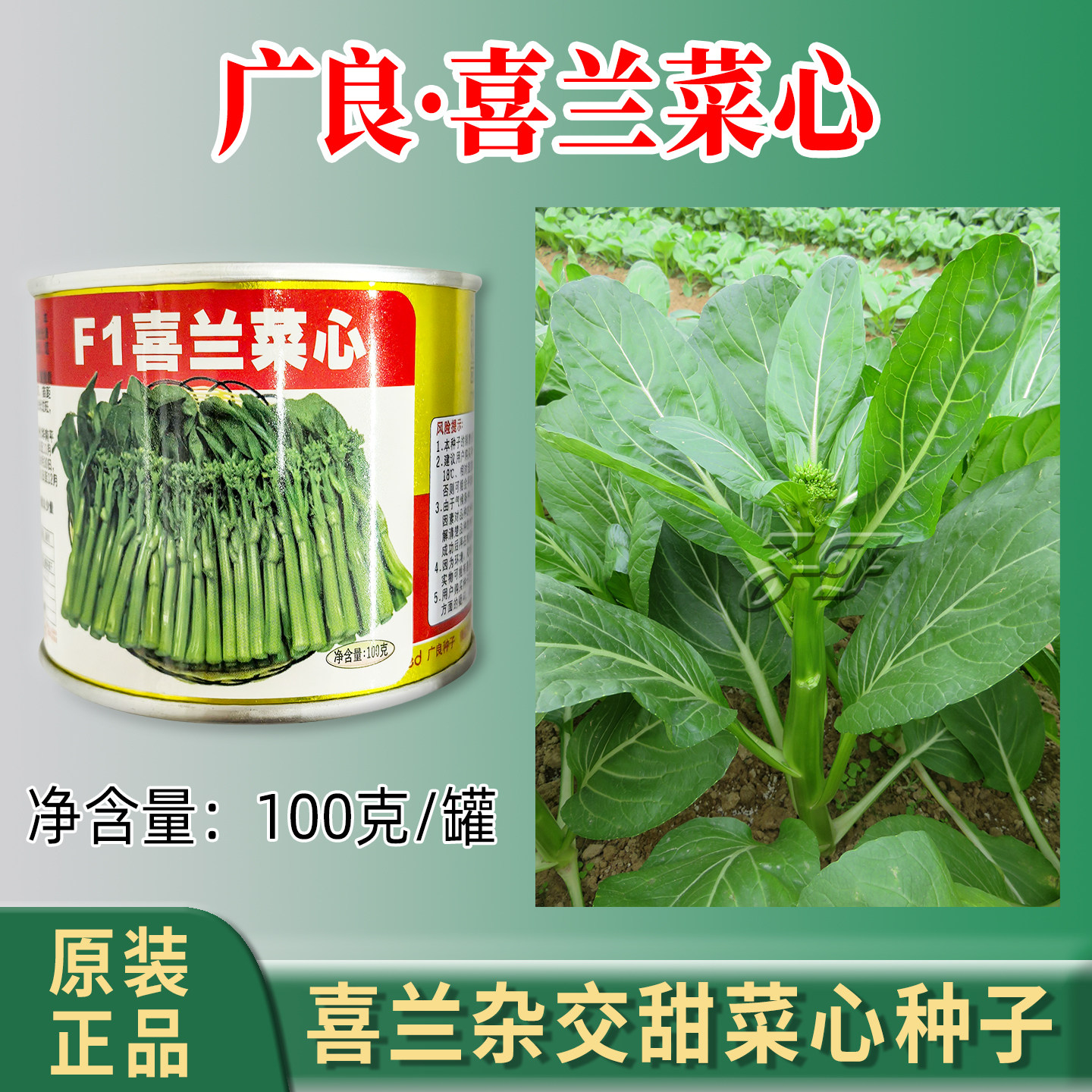 广良喜兰菜心种子100克尖圆叶春夏秋季广东甜菜心种籽杂交绿菜苔