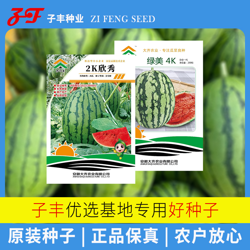 市場主流薄皮小西瓜種子2K4K