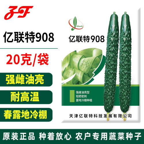 农户推荐春秋季强雌油亮黄瓜籽