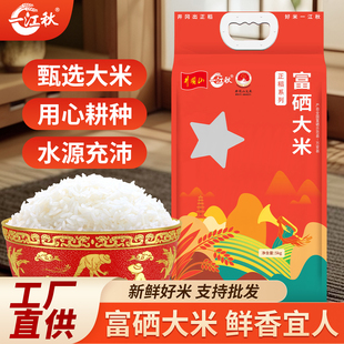 一江秋富硒大米10斤长粒香米新大米2025年新米江西籼米