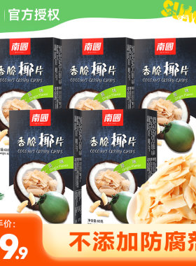 海南特产南国正宗椰子片60g*5盒