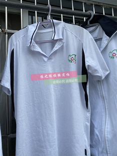 桐乡市卫生学校服纯棉短袖 夏纯棉polo衫 t恤校服班服印图印字短裤