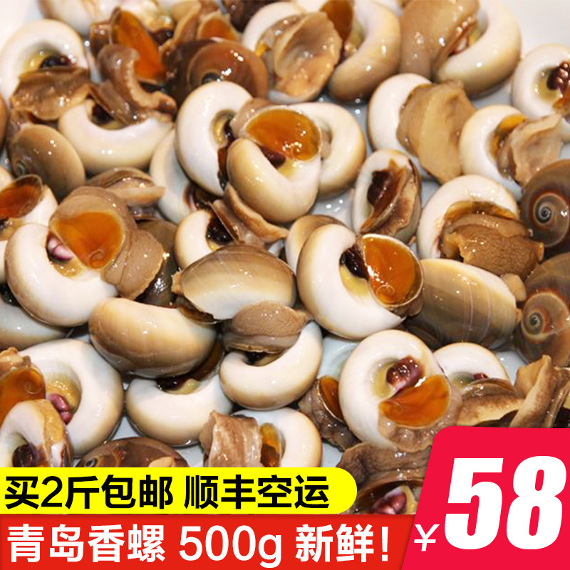 香螺鲜活1斤 田螺青岛海鲜水产新鲜贝类大花螺超大特大泥螺小海螺