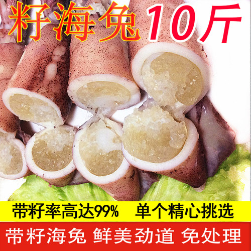 带籽海兔笔管鱼籽乌满籽海兔子