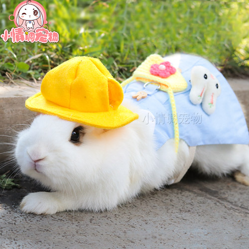 兔子衣服牵引绳帽子宠物兔
