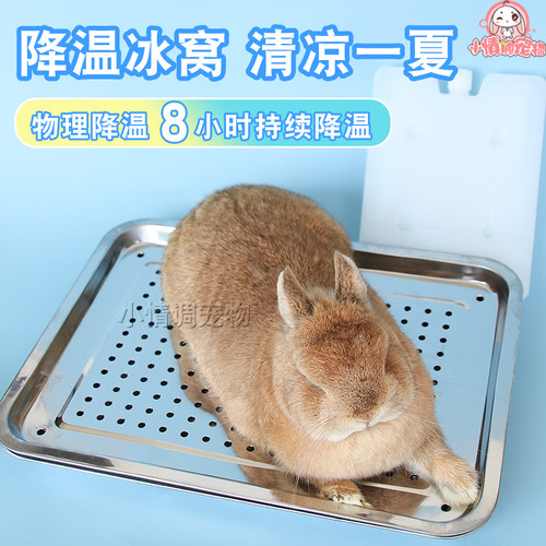 兔子降温龙猫冰窝夏季降温用品