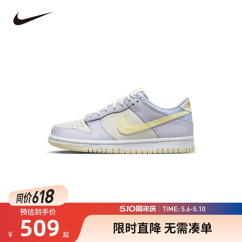 NIKE童鞋儿童板鞋男女童休闲运动鞋COUNT中大童鞋子潮FJ4641-536
