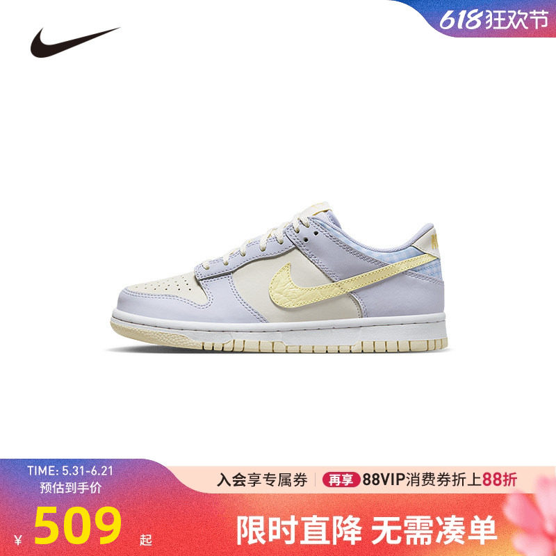 NIKE童鞋儿童板鞋男女童休闲运动鞋COUNT中大童鞋子潮FJ4641-536