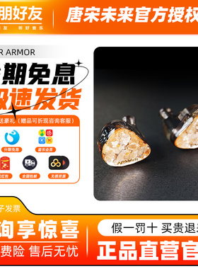 TSMR唐宋未来ARMOR圈铁静电耳机2圈2铁1静电耳机