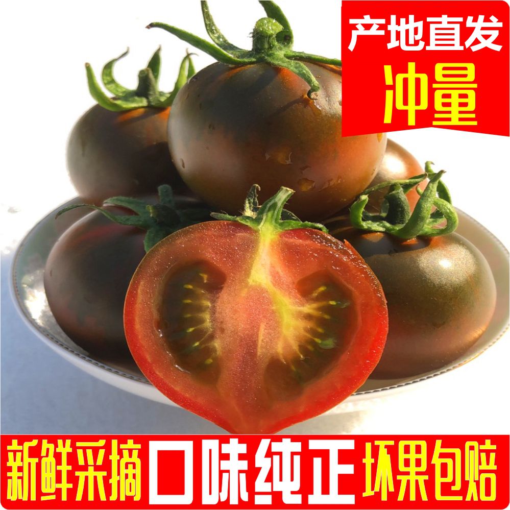 盘锦碱地柿子紫宝石西红柿孕妇草莓鹰爪铁皮黑珍珠番茄绿腚水果