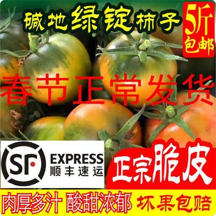 盘锦碱地柿子西红柿孕妇草莓鹰爪铁皮番茄绿腚水果