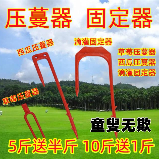 草莓育苗叉子压苗西瓜甜瓜叉固定生根大棚压蔓器卡子滴灌叉固定器