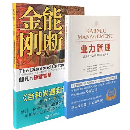 能断金刚的经营智慧 业力管理 《当和尚遇到钻石》 能断金刚超凡的经营智慧企业管理当和尚遇到钻石成功励志课程25周年正版书籍