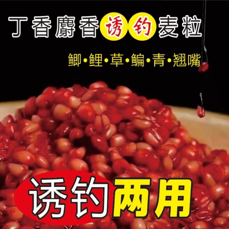 丁香麝香麦粒血麦钓鱼饵野钓鲫鱼活饵/谷麦饵等饵料