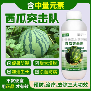 【官方正品】西瓜突击队甜瓜香瓜专用预防炭疽枯萎肽能硒专用通用