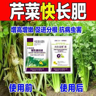 (芹菜速长灵)芹菜专用叶面肥催生速长增高鲜嫩增产西芹香芹通用