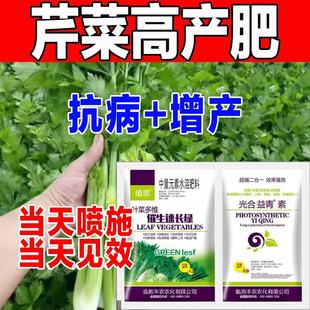 芹菜催生速长灵芹菜专用肥蔬菜生长素油菜青菜空心菜香菜叶面肥