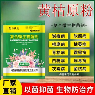 侬优选黄枯原粉源粉复合微生物菌剂液番茄黄瓜预防枯萎立枯病正起