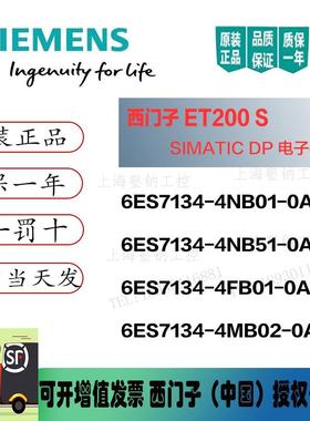 1P 6ES7 134 6ES71344NB51/4NB01/4FB01/4MB020AB0电子模块ET200S