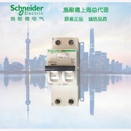 库存现货正品 施耐德 漏电保护一体断路器 A9D65216 2P 16A 30mA