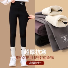 女童鲨鱼裤秋冬款加绒加厚女大童鲨鱼裤儿童2024新款瑜伽芭比裤子