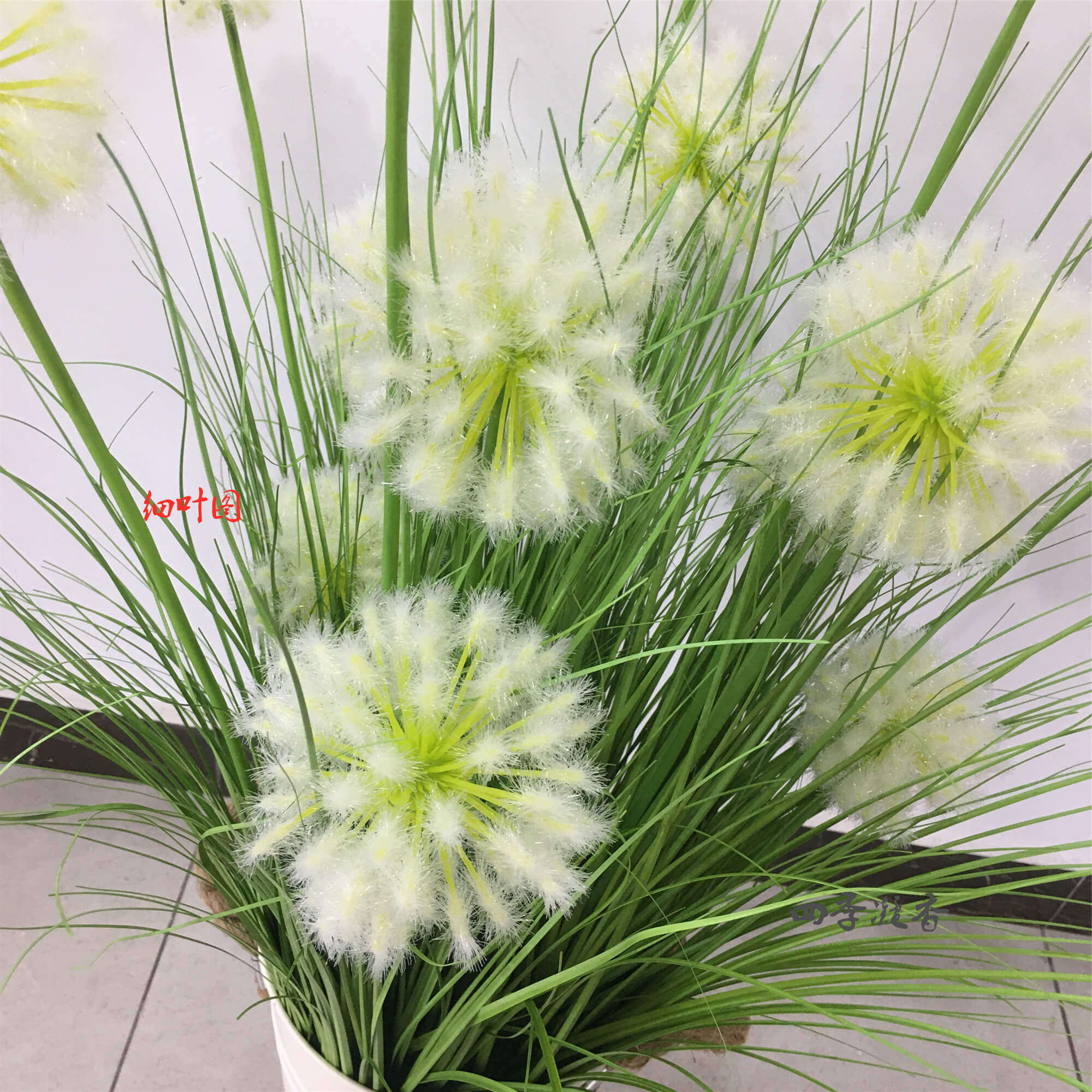 蒲公英装饰摆件干花田园绿芦苇草图片