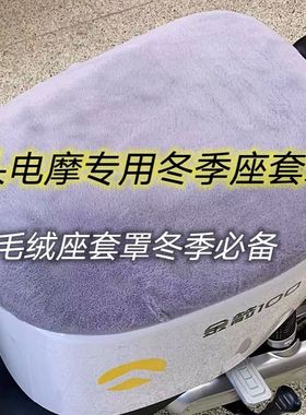 新国标加绒保暖座套爱玛新日九号深远雅笛D60DE2DT3DT5欧盟DT6DM6