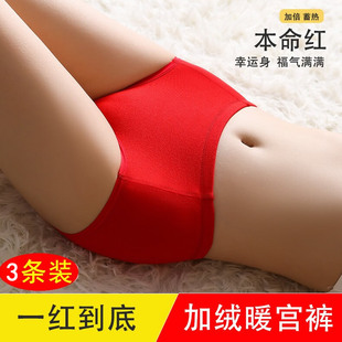 女士大红色内裤本命年加绒加厚女生中高腰三角裤德绒保暖宫短裤头