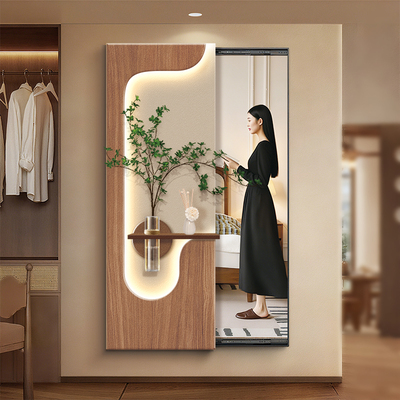 网红绿植隐藏式推拉全身镜子挂画