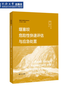 堰塞坝危险性快速评估与应急处置