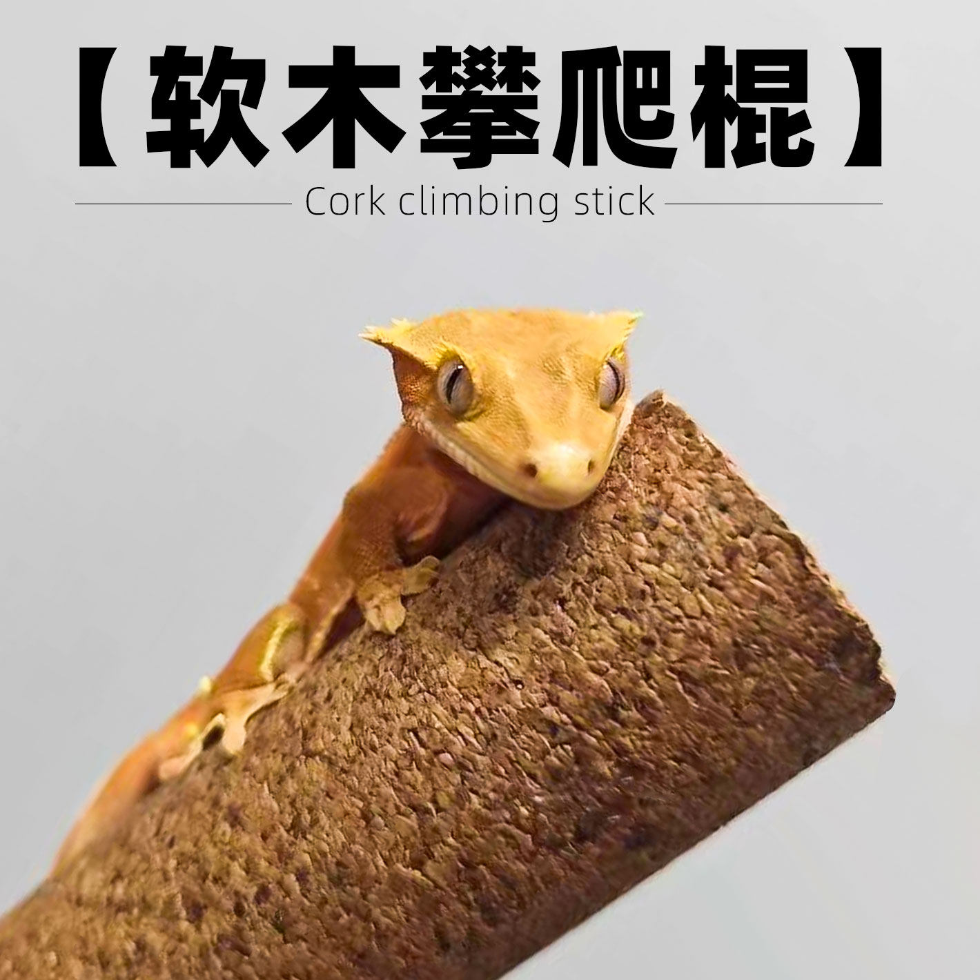 天然蜥蜴爬杆攀爬棒爬宠树栖守宫睫角盖勾亚 巨棍爬虫用品 软木棒,宠物/宠物食品及用品,爬宠躲避/造景,淘宝优惠券,粉丝福利购,淘宝优惠卷