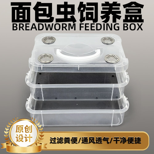 面包虫饲养盒守宫蝎子捕鸟蛛