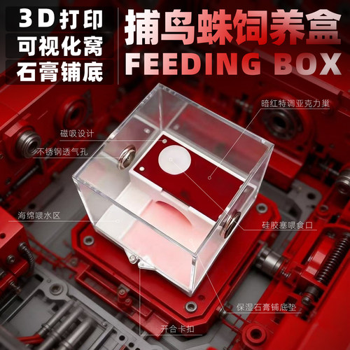 可视化巢穴3D打印蜘蛛饲养盒