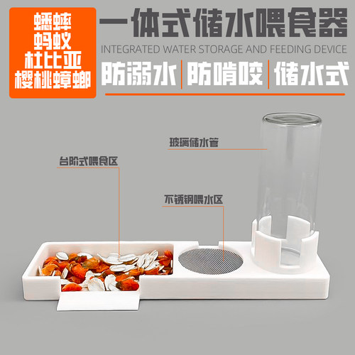 蟑螂杜比亚储水一体式水盆食盆