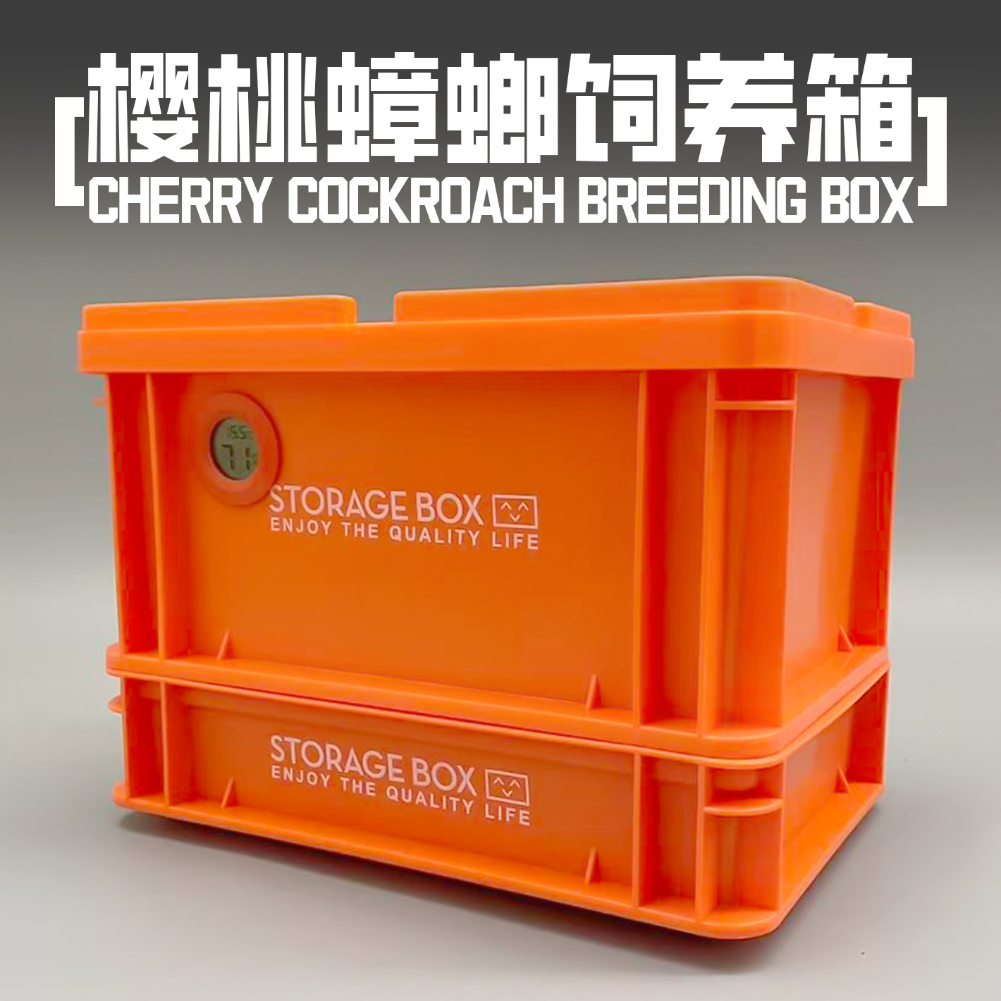 樱桃蟑螂杜比亚养殖盒爬宠携带箱针头蟋蟀饲养箱面包虫大麦虫饲料