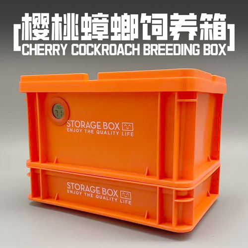 樱桃蟑螂杜比亚面包虫饲养箱