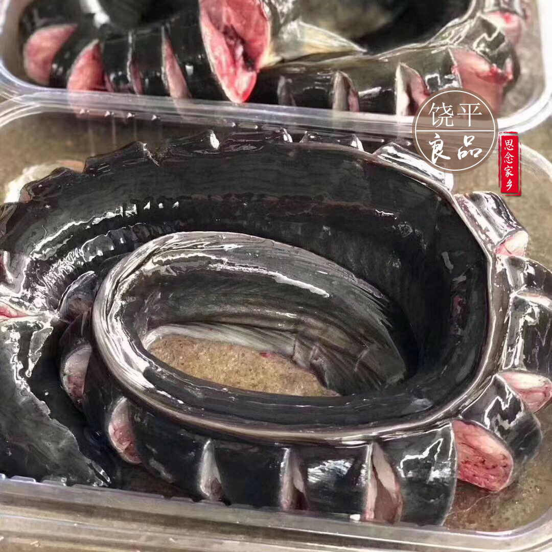 鲜海鲜 顺丰 可帮切