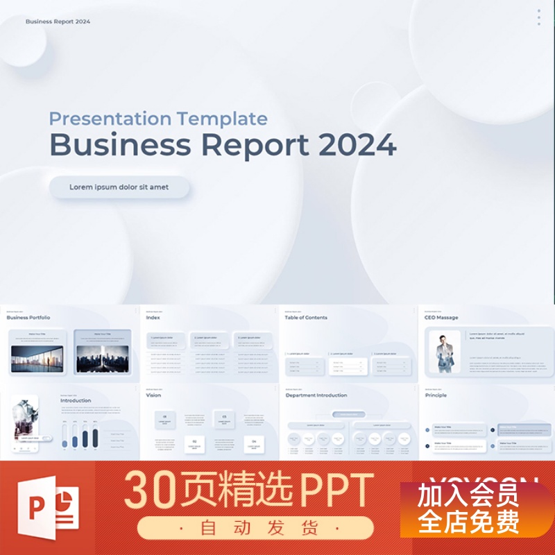 业务报告团队布局业务分析商务模型公司信息企业汇报会议PPT模板