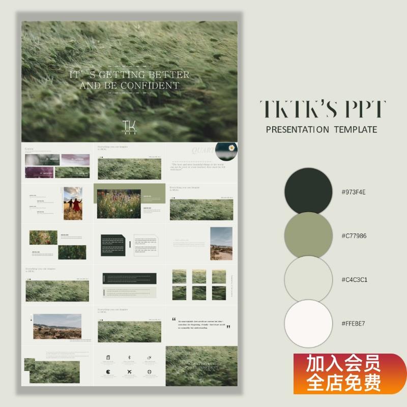 010欧美极简素雅草绿色小清新工作汇报毕设PPT模板【TKTK】